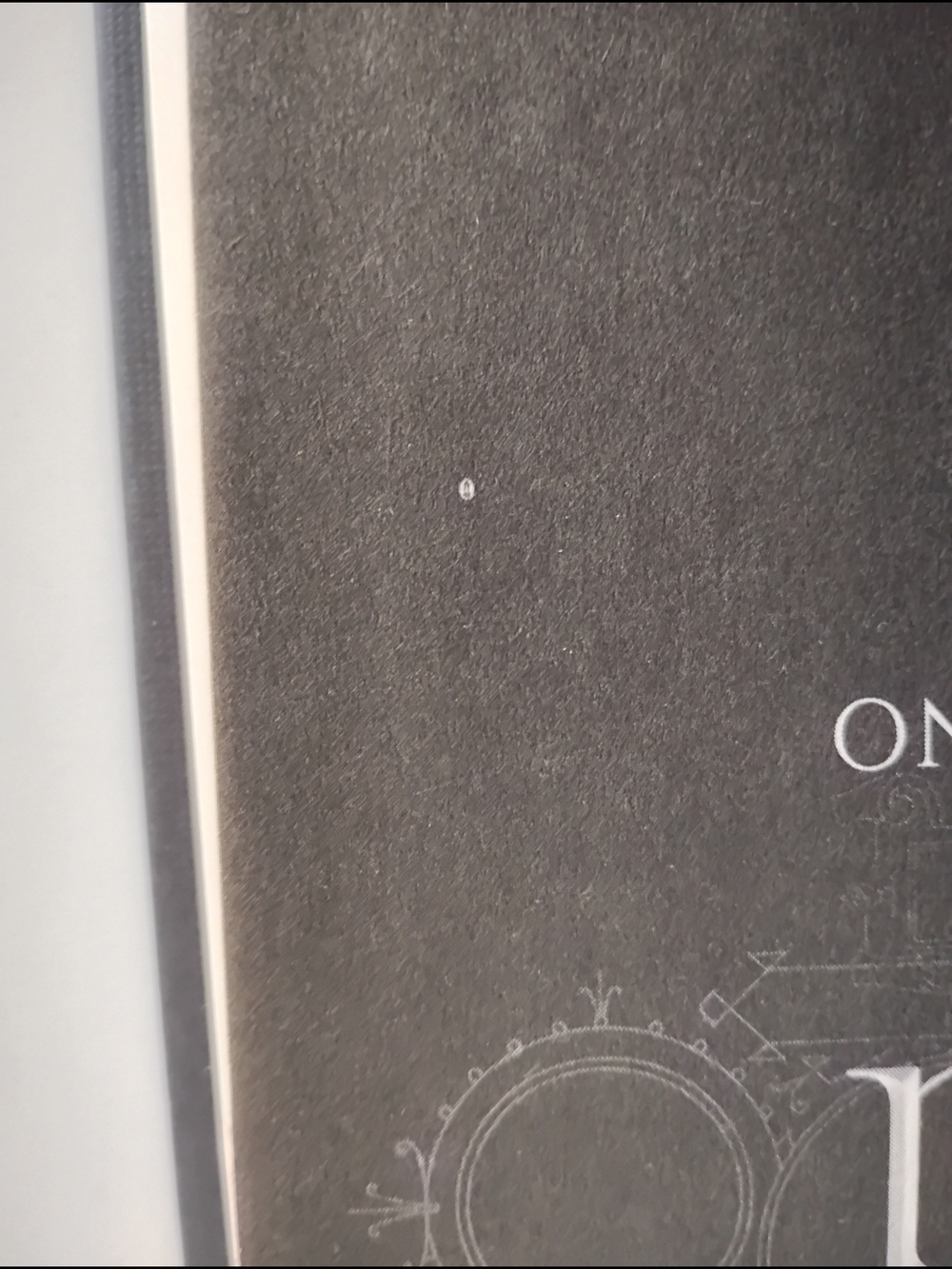 "Finding You" Book - Picture 11 of 12